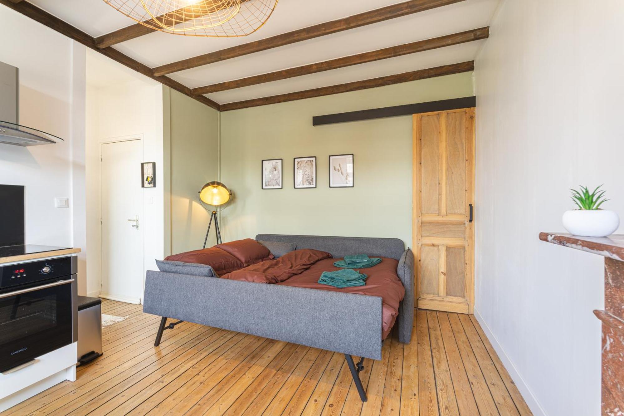 Apartment Le Luxueux - Netflix I Wifi I Centre - Design & Cosy *